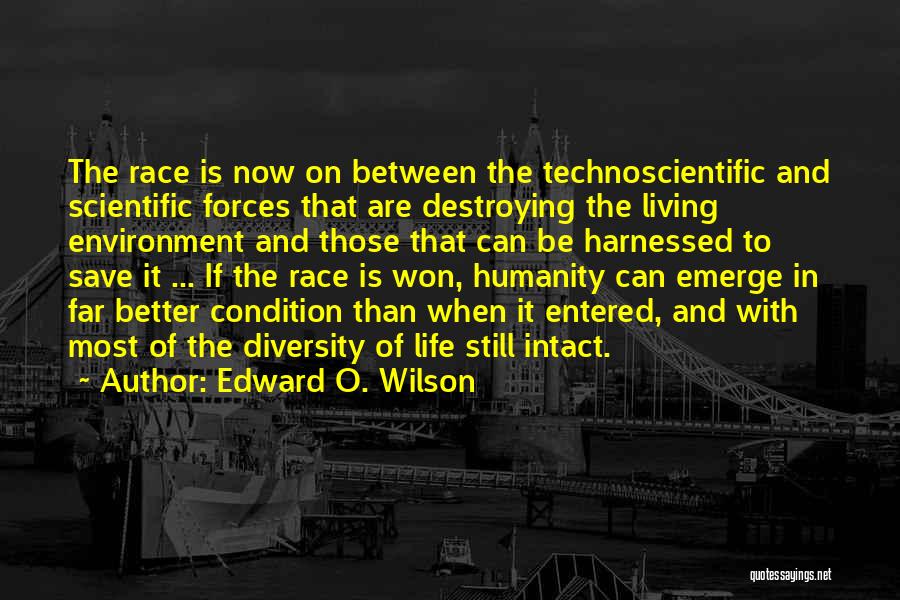 Edward O. Wilson Quotes 2205741