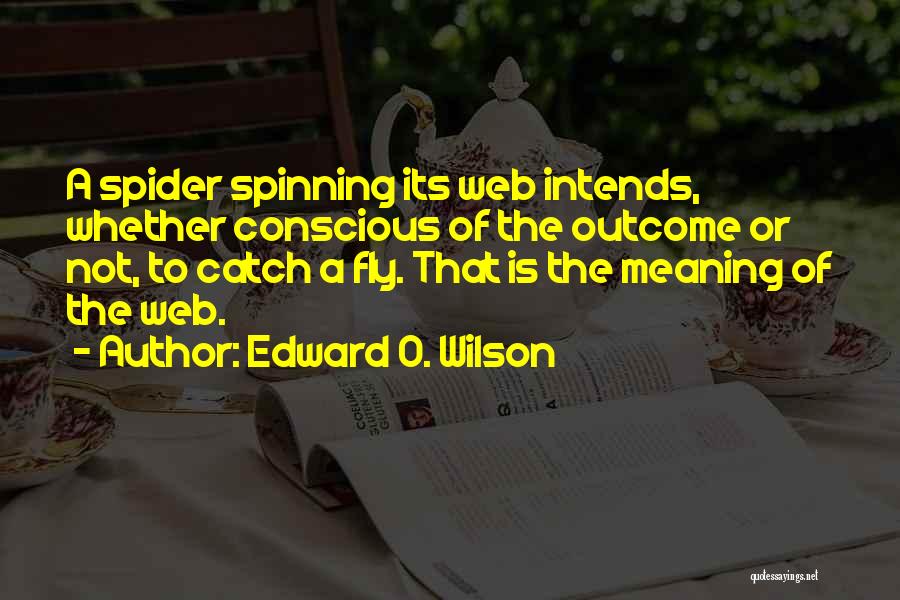 Edward O. Wilson Quotes 292575