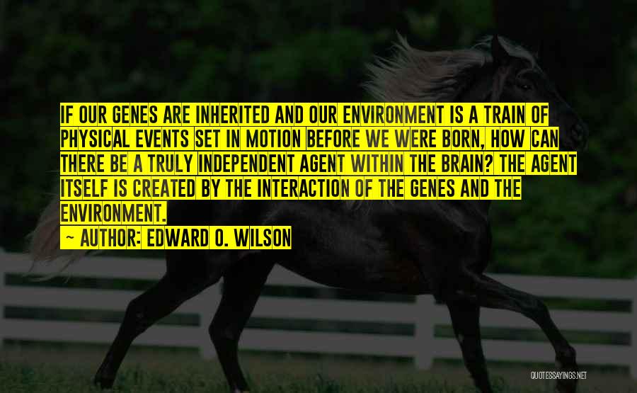 Edward O. Wilson Quotes 313101