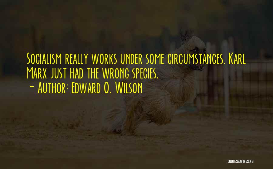 Edward O. Wilson Quotes 333239