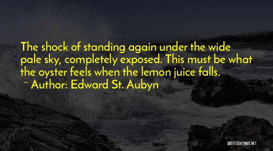 Edward St. Aubyn Quotes 772277
