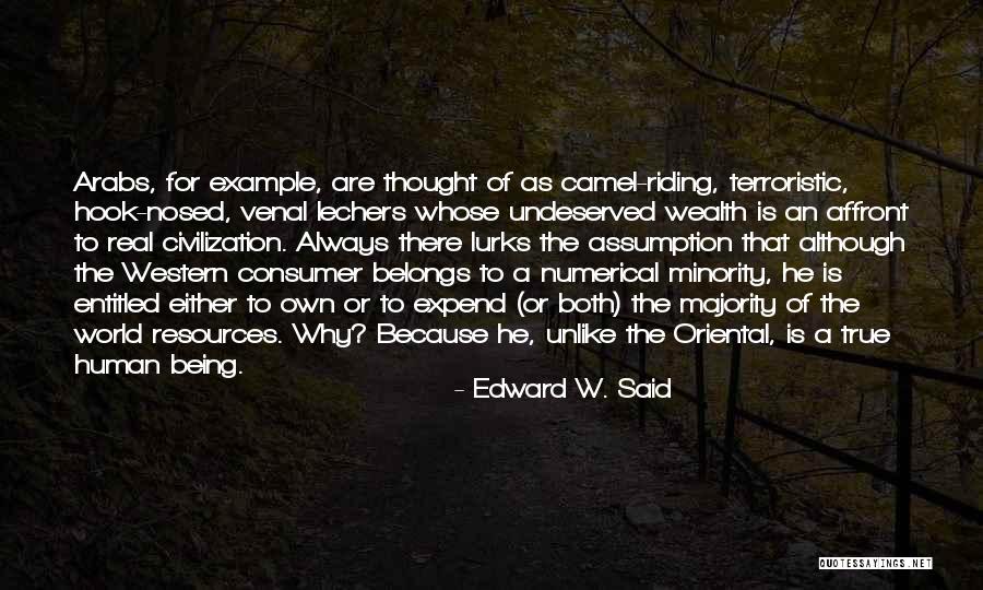 Edward W. Said Quotes 1375970