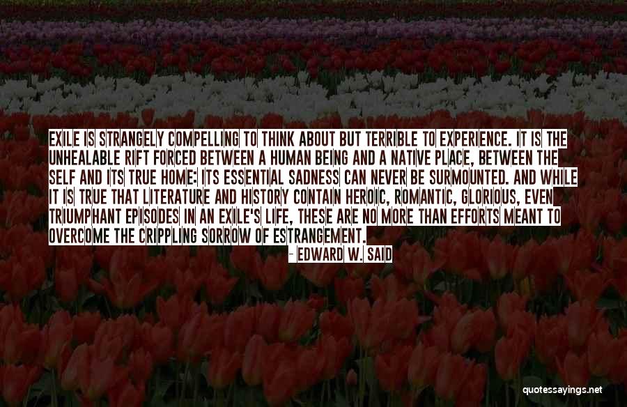 Edward W. Said Quotes 1620486