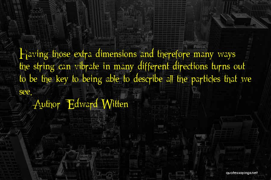 Edward Witten Quotes 732021