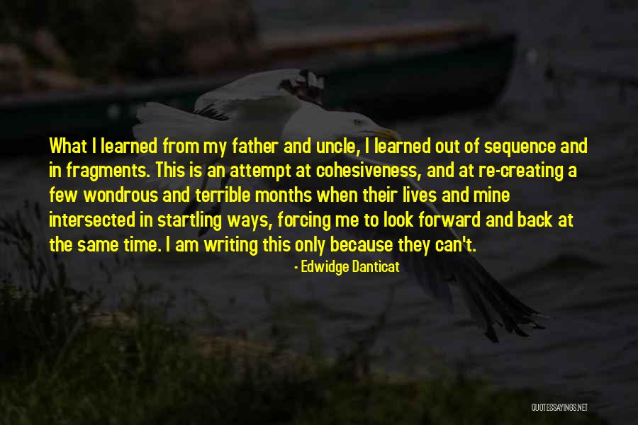 Edwidge Danticat Quotes 1219789