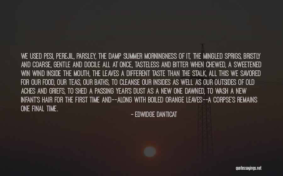 Edwidge Danticat Quotes 1697038 Edwidge Danticat Quotes 1697038