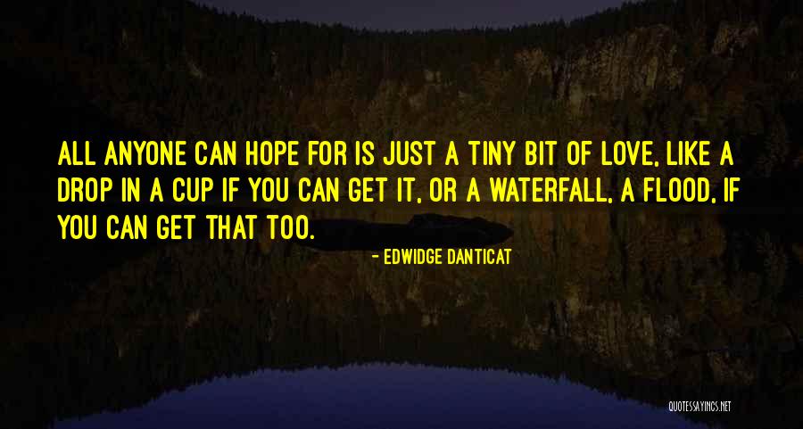 Edwidge Danticat Quotes 795883