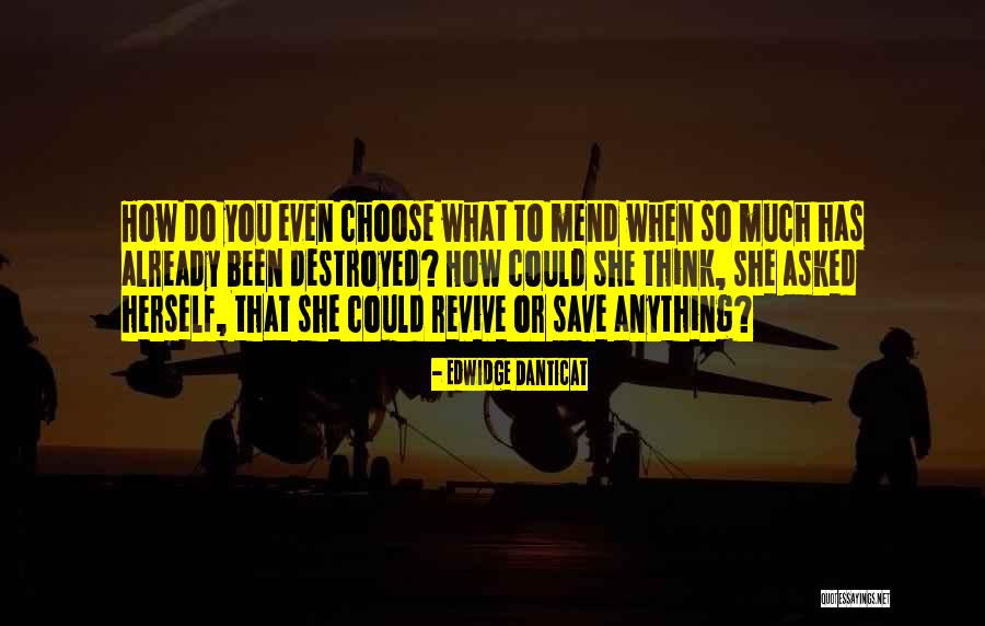 Edwidge Danticat Quotes 881157 Edwidge Danticat Quotes 881157