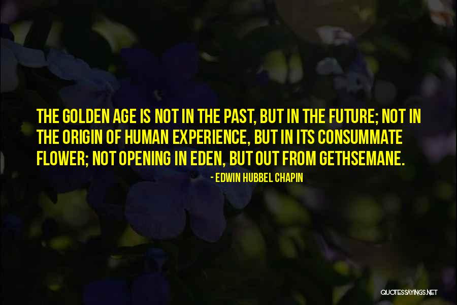 Edwin Chapin Quotes By Edwin Hubbel Chapin Edwin Chapin Quotes By Edwin Hubbel Chapin
