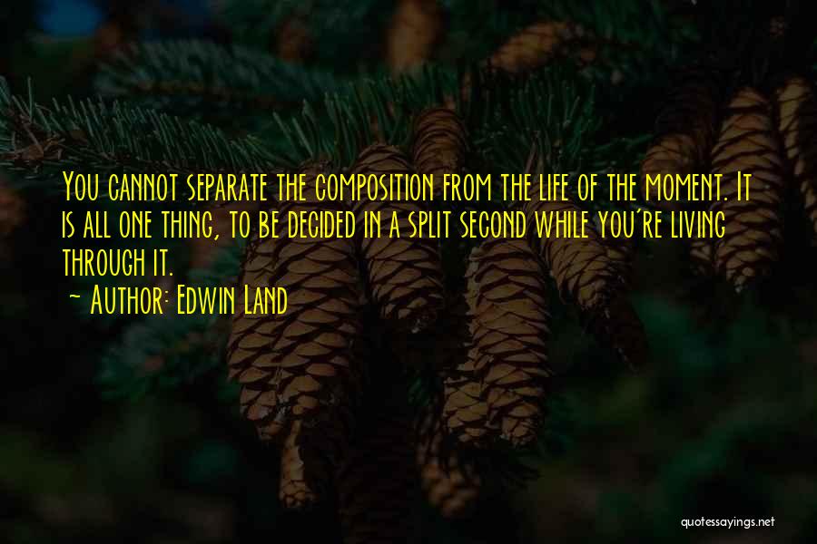 Edwin Land Quotes 182924