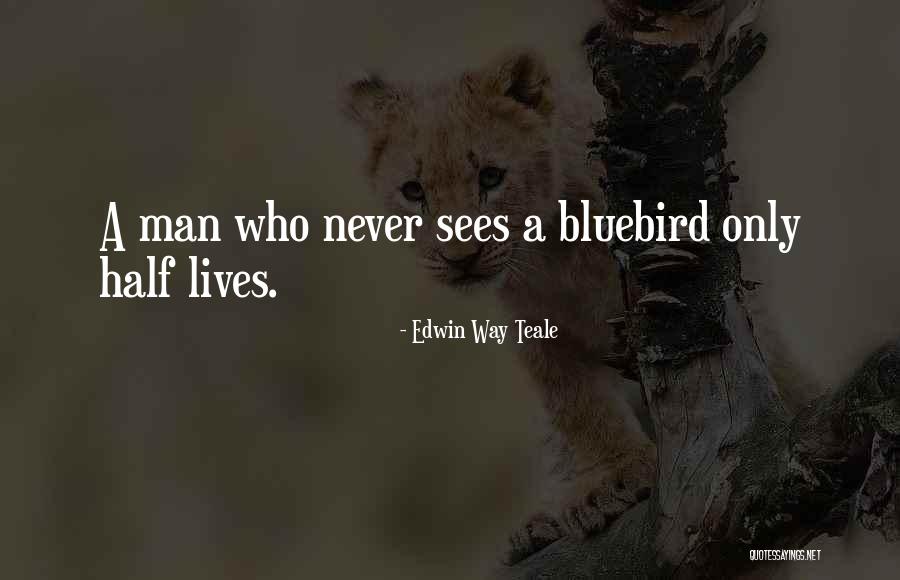 Edwin Teale Quotes By Edwin Way Teale Edwin Teale Quotes By Edwin Way Teale