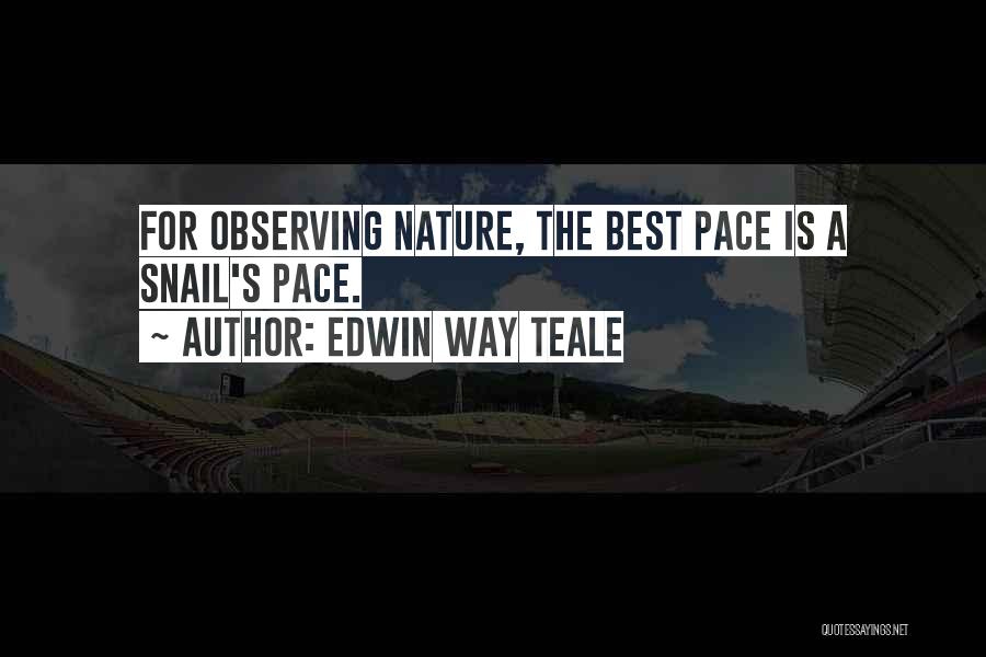 Edwin Way Teale Quotes 1458481