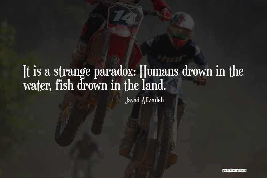 Eejeti Quotes By Javad Alizadeh Eejeti Quotes By Javad Alizadeh