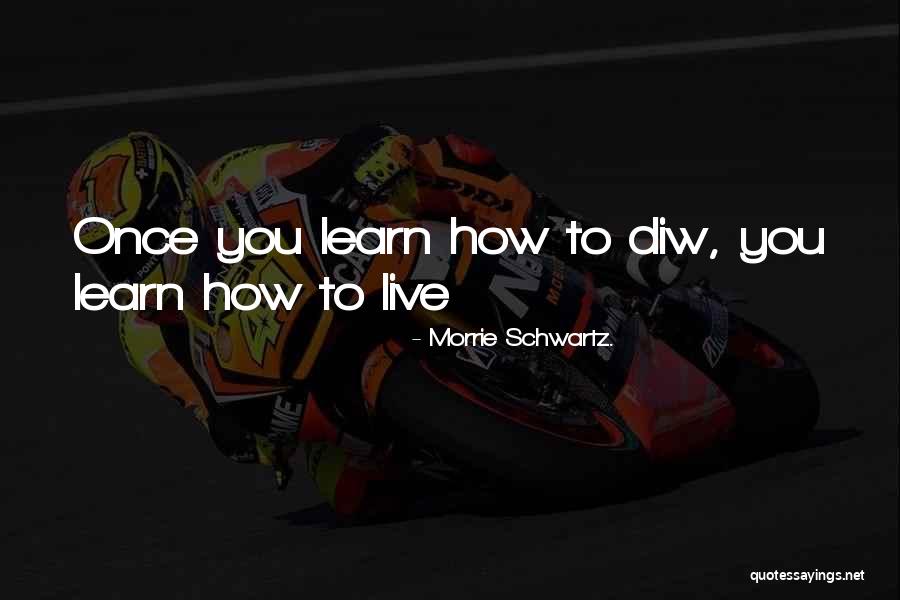 Eekhoorn Engels Quotes By Morrie Schwartz. Eekhoorn Engels Quotes By Morrie Schwartz.