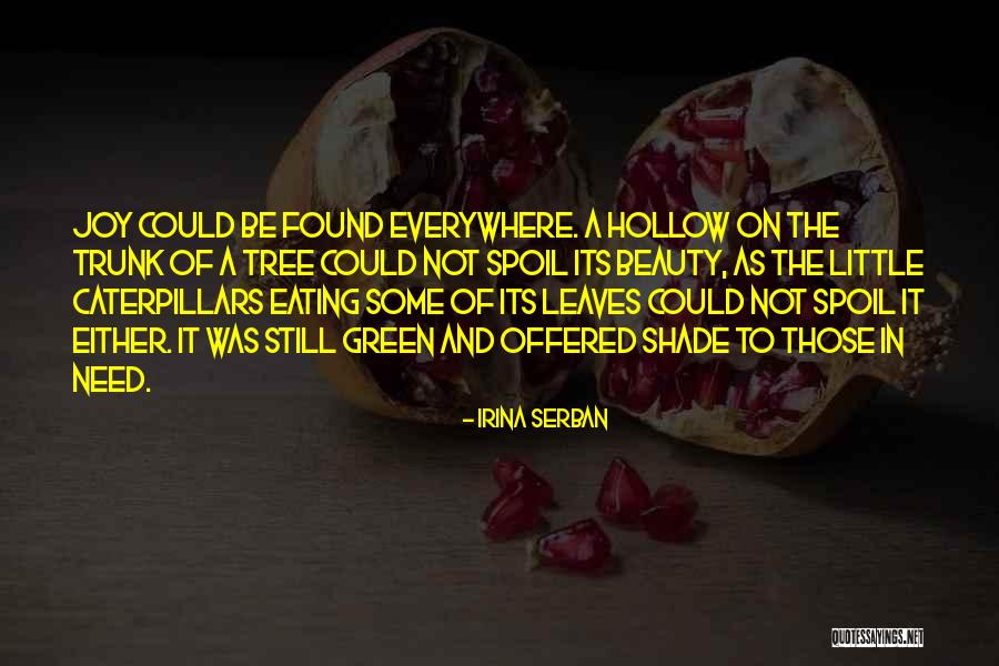 Een Glimlach Quotes By Irina Serban Een Glimlach Quotes By Irina Serban