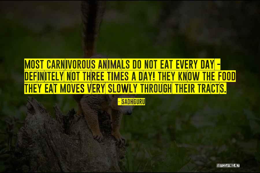 Eenovate Quotes By Sadhguru Eenovate Quotes By Sadhguru