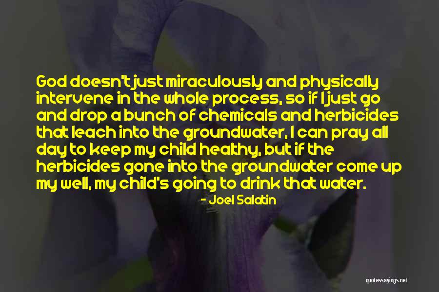 Eeuwig Moes Quotes By Joel Salatin Eeuwig Moes Quotes By Joel Salatin