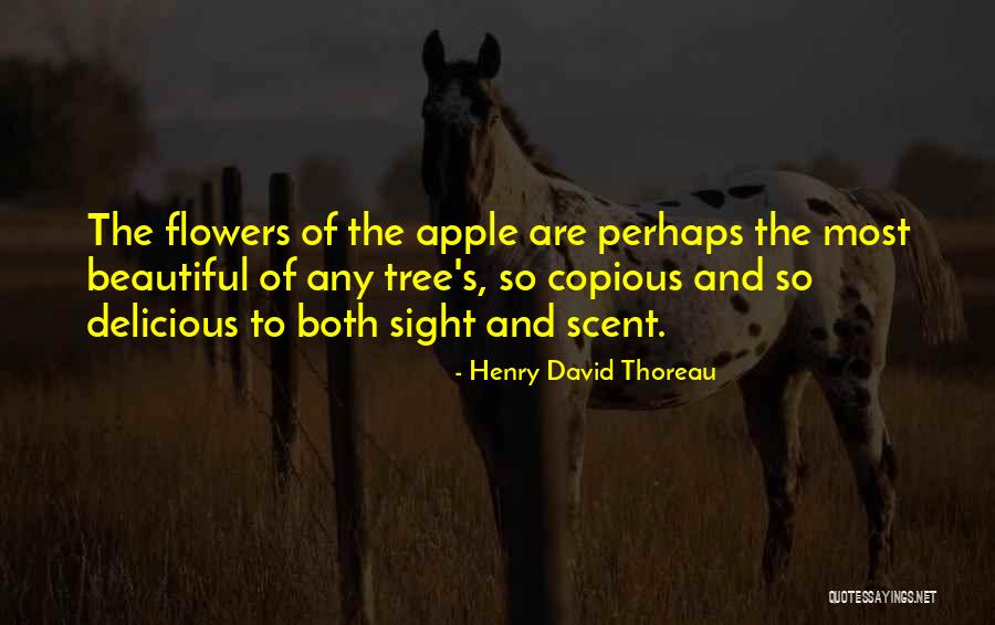 Eeyore Love Quotes By Henry David Thoreau Eeyore Love Quotes By Henry David Thoreau