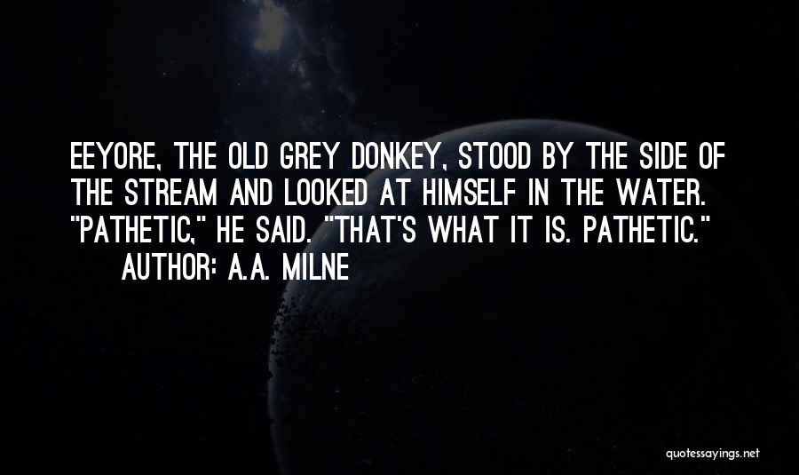 Eeyore Quotes By A.A. Milne