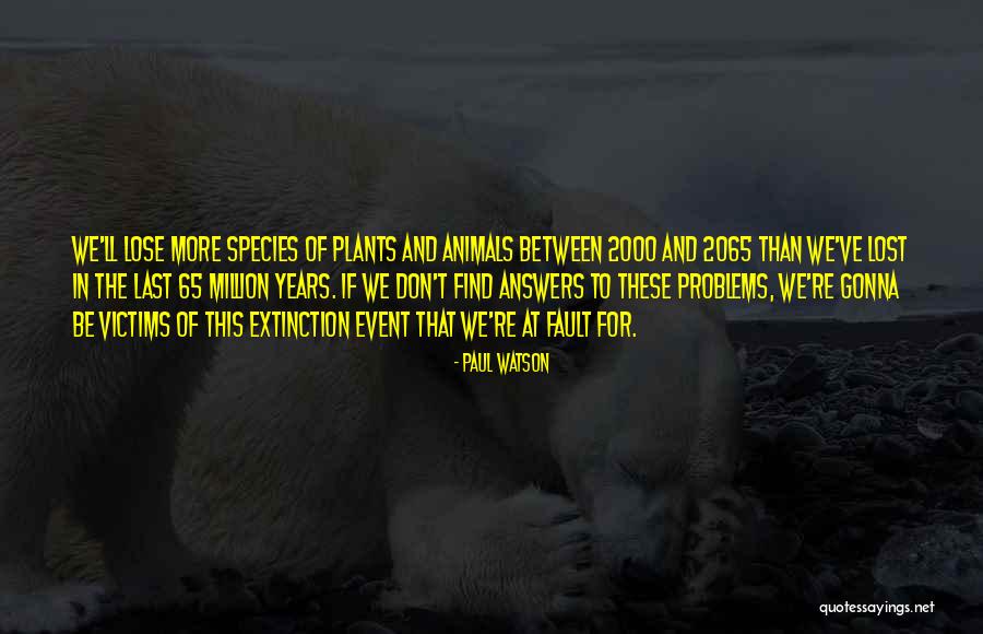 Efectivamente In English Quotes By Paul Watson Efectivamente In English Quotes By Paul Watson