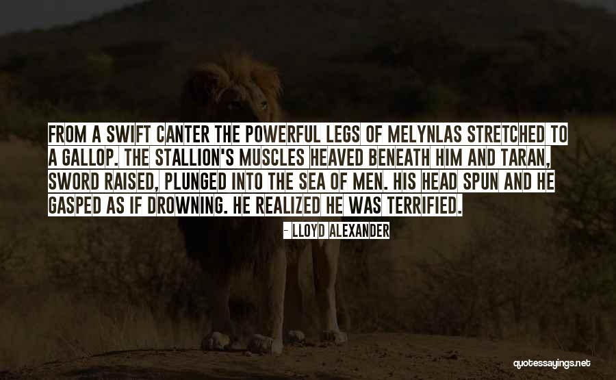 Efemeridade Sinonimos Quotes By Lloyd Alexander Efemeridade Sinonimos Quotes By Lloyd Alexander