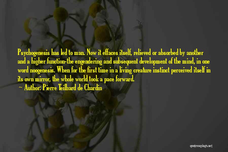 Effaces Quotes By Pierre Teilhard De Chardin