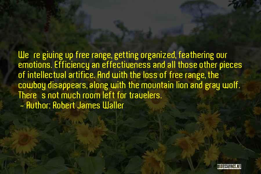 Effectiveness And Efficiency Quotes By Robert James Waller