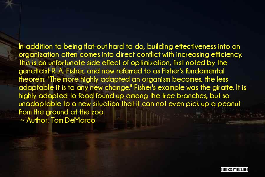 Effectiveness And Efficiency Quotes By Tom DeMarco