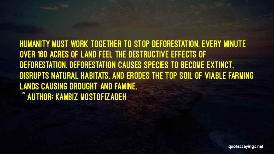 Effects Of Deforestation Quotes By Kambiz Mostofizadeh