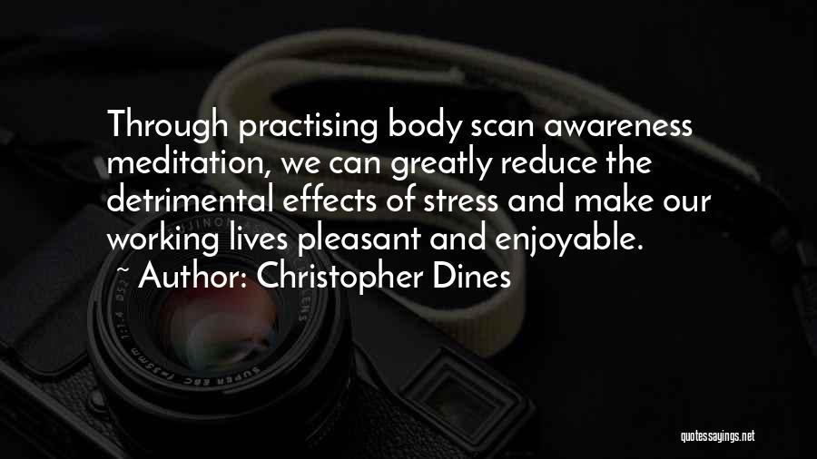 Effects Of Stress Quotes By Christopher Dines