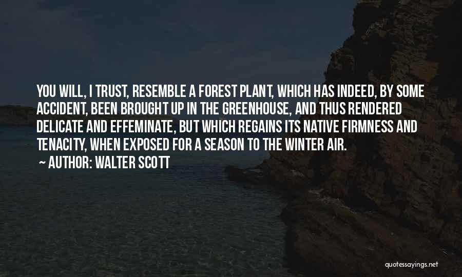 Effeminate Quotes By Walter Scott