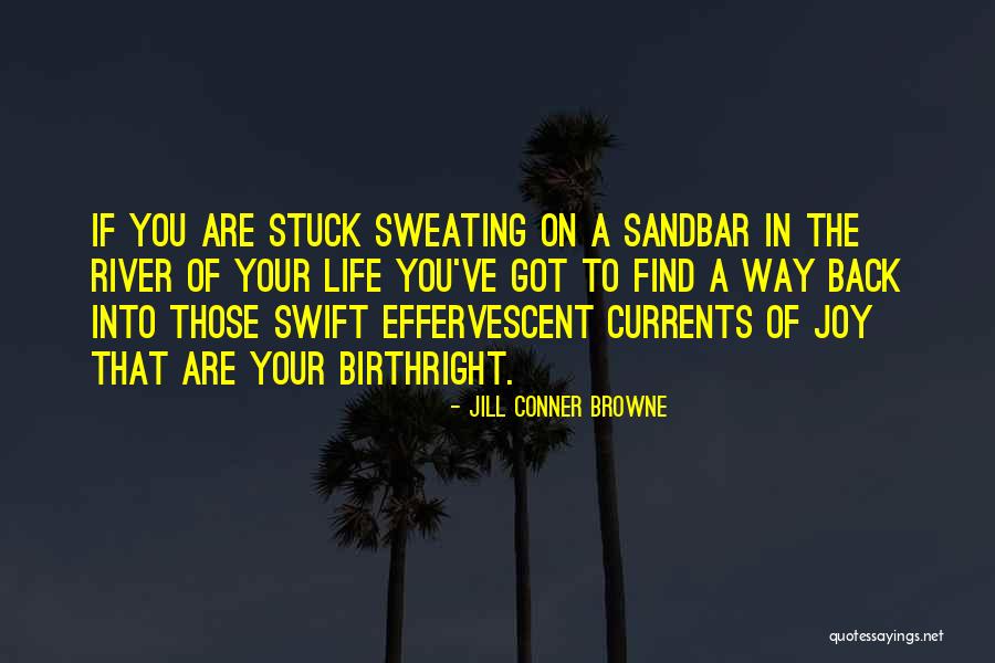 Effervescent Quotes By Jill Conner Browne Effervescent Quotes By Jill Conner Browne