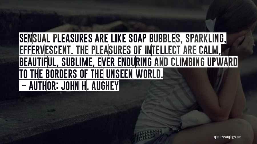 Effervescent Quotes By John H. Aughey