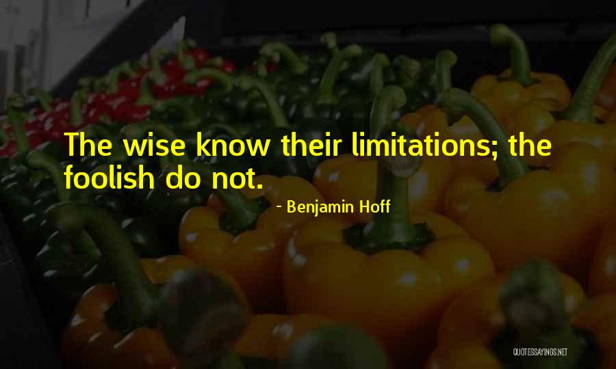 Effervesces In Hcl Quotes By Benjamin Hoff Effervesces In Hcl Quotes By Benjamin Hoff