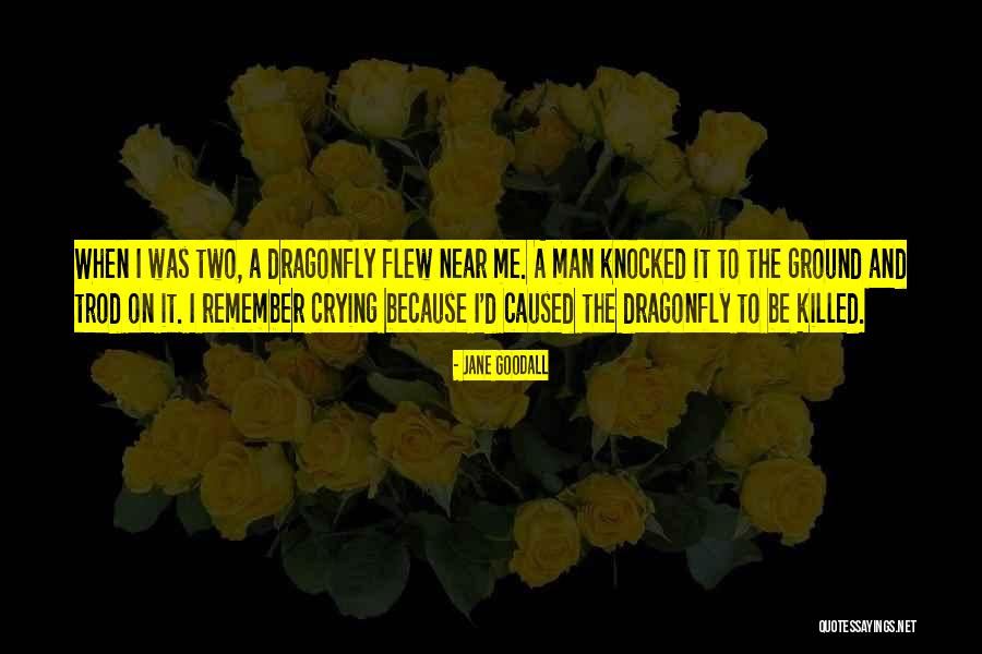 Effervesces In Hcl Quotes By Jane Goodall Effervesces In Hcl Quotes By Jane Goodall