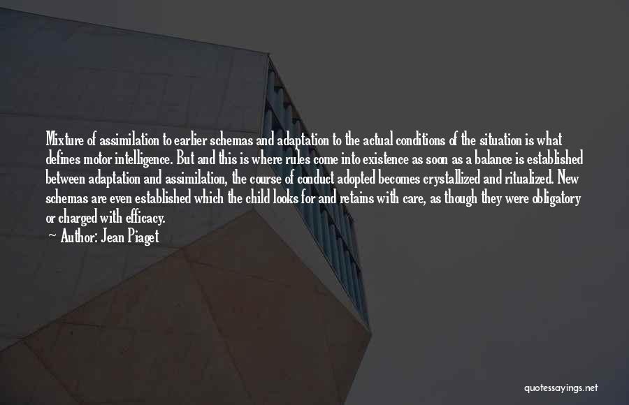 Efficacy Quotes By Jean Piaget