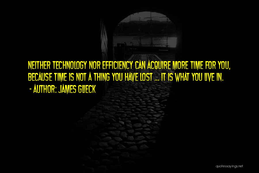 Efficiency Quotes By James Glieck