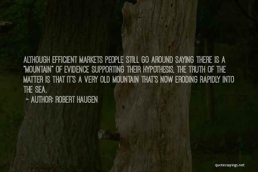 Efficient Markets Quotes By Robert Haugen