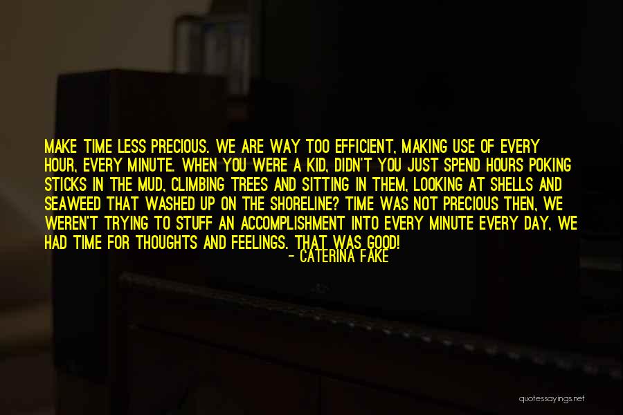 Efficient Use Of Time Quotes By Caterina Fake