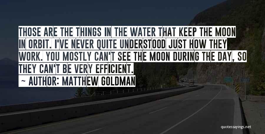 Efficient Work Quotes By Matthew Goldman