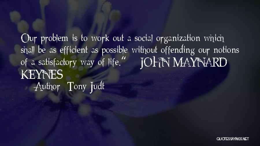 Efficient Work Quotes By Tony Judt