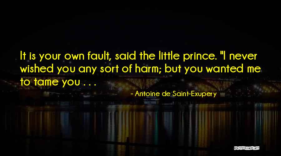 Efflux Transporters Quotes By Antoine De Saint-Exupery Efflux Transporters Quotes By Antoine De Saint-Exupery