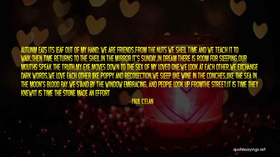 Effort For Love Quotes By Paul Celan