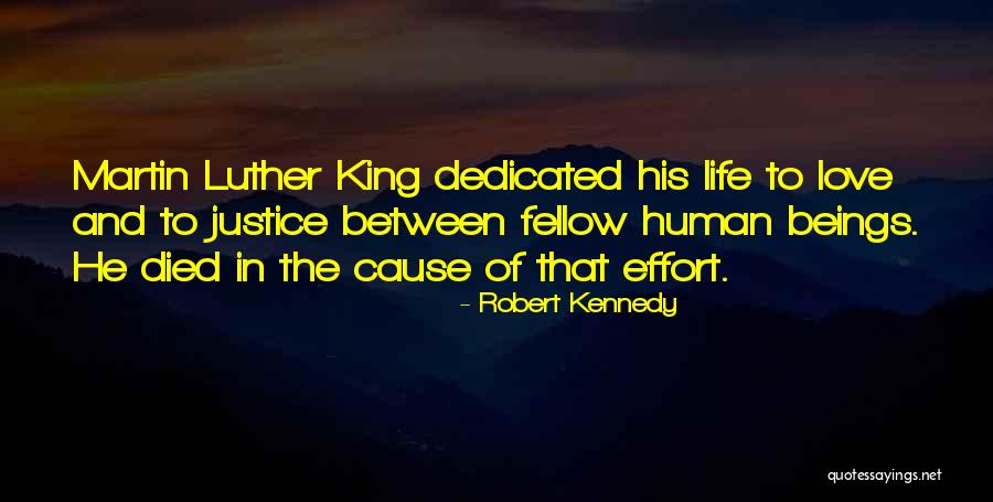 Effort In Love Quotes By Robert Kennedy