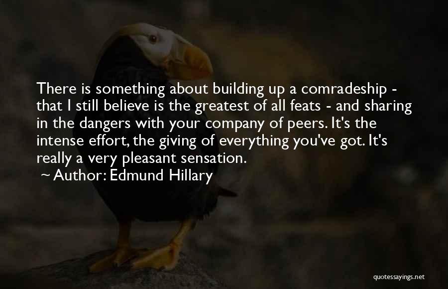 Effort Is Everything Quotes By Edmund Hillary