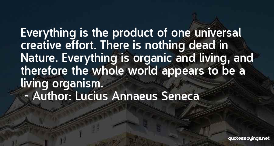 Effort Is Everything Quotes By Lucius Annaeus Seneca