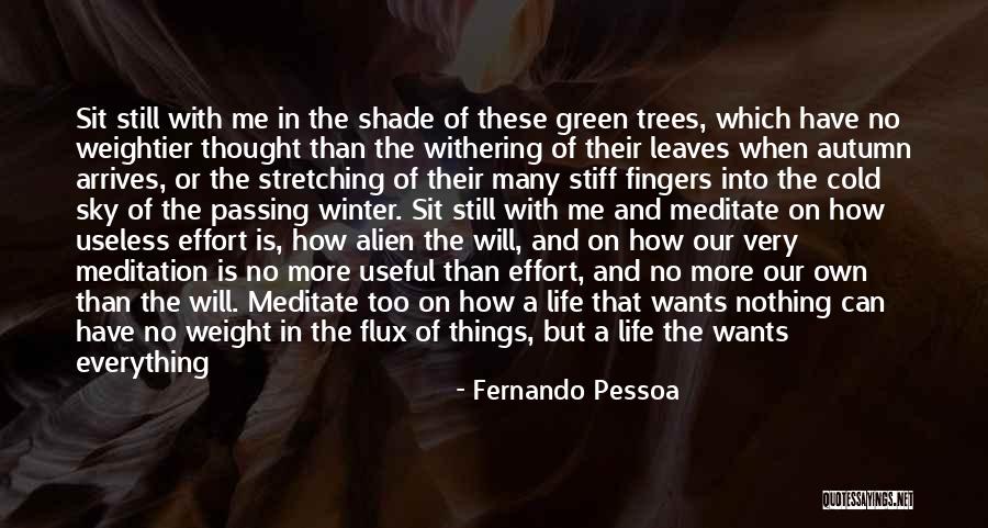 Effort Less Quotes By Fernando Pessoa