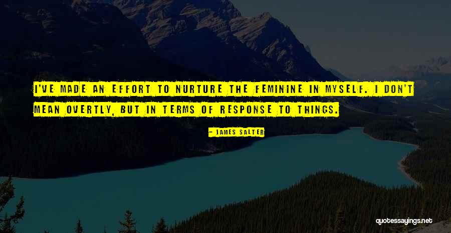 Effort Made Quotes By James Salter Effort Made Quotes By James Salter