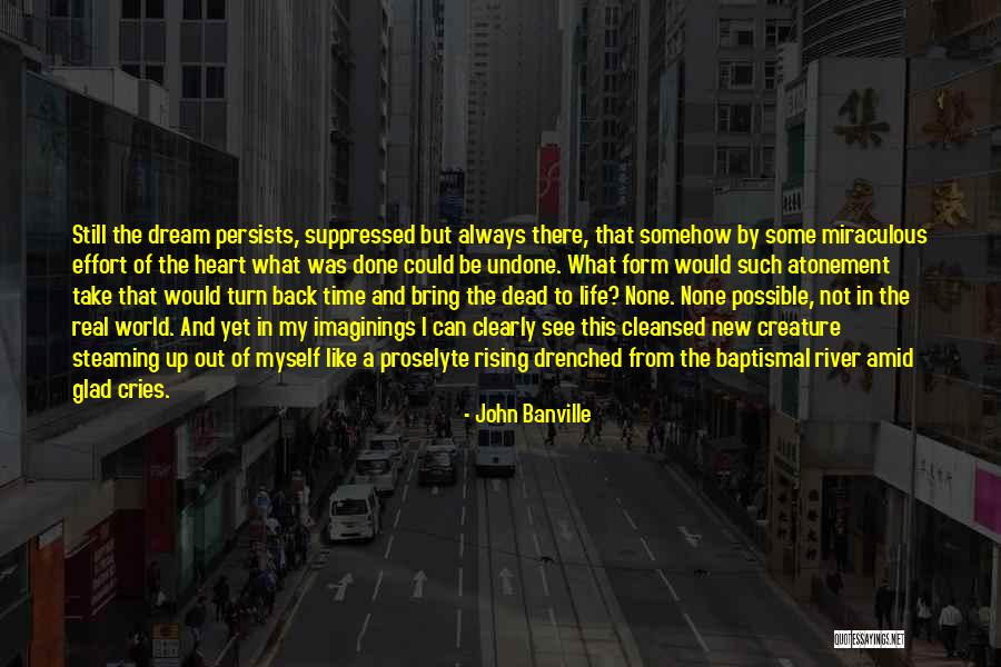 Effort Quotes Quotes By John Banville Effort Quotes Quotes By John Banville