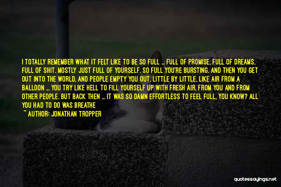 Effortless Quotes By Jonathan Tropper